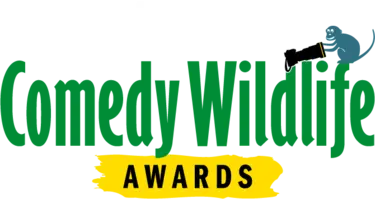 nikon-image
